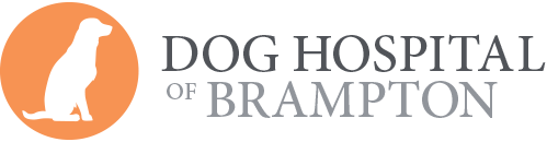 Home - Dog Hospital Of Brampton